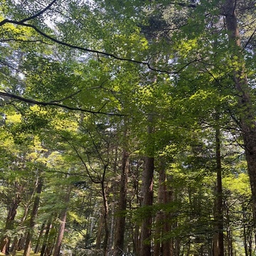 日帰り旅　軽井沢