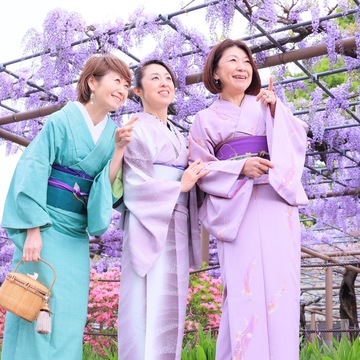 曼陀羅寺の藤まつりに行って来ました。