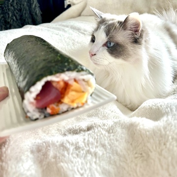 2024年 節分👹 恵方は『東北東』