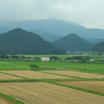 しっとりとした緑の中に「727」。