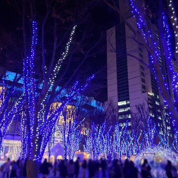 けやき広場のイルミネーション&ランページのライブ