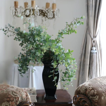 お庭のお花が満開・グリーンも綺麗！