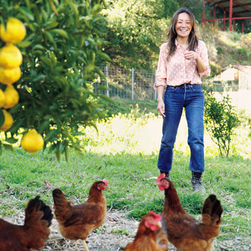 レモンや小夏、放し飼い卵を販売する自然の農園『いちえん農場』【有元葉子、美味しいものは高知にあり】