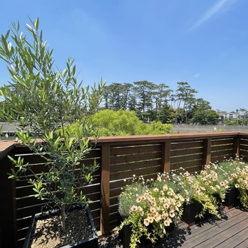 ベランダグリーンをアップデート