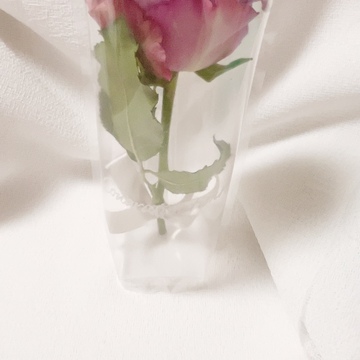 【おススメの♡】豊島区女性起業家フェスで出会った「奇跡の花」とは・・