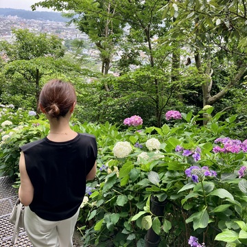 鎌倉紫陽花ツアーへ