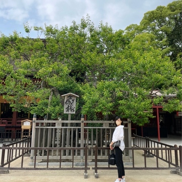 母娘、福岡満喫の旅①〜太宰府観光編〜