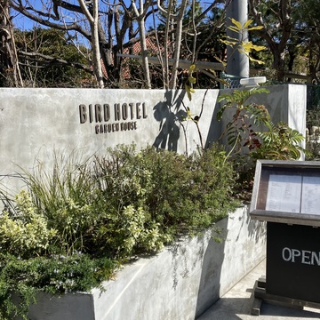 鎌倉おしゃれレストラン