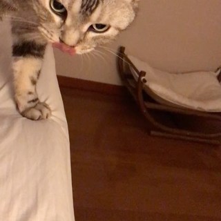 「ママ〜」としゃべるアランのモーニングコール