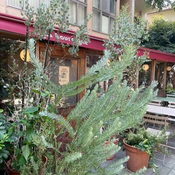 神楽坂にてフランス語が響くランチと、東京大神宮