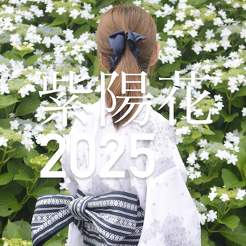 【季節の花ごよみ】君も華になる？✨大人の初夏ファッション🥸💕