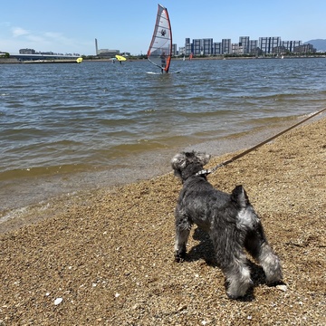 初めての海の味