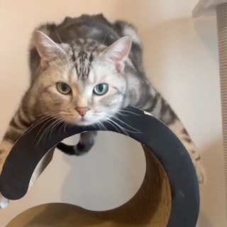 アラン時計がチクタク