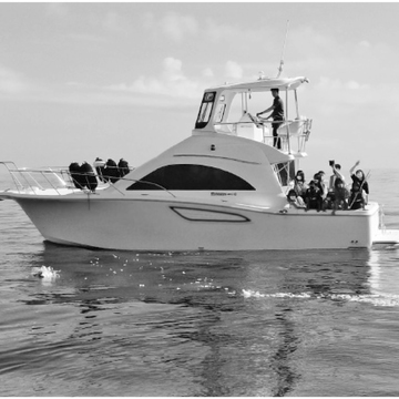 【今から知っておきたい！墓じまいのこと】お墓を持たない選択肢「散骨」について