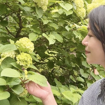 新緑の清々しい風を感じに鎌倉へ🌿