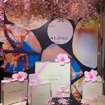 日本の春　サクラチェリーブロッサム