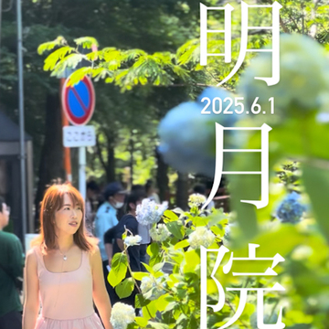 【鎌倉の紫陽花】2025.6.1撮影