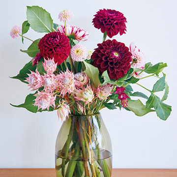 秋の日常に華やかさを添えてくれる「ダリア」【花生師・岡本典子さんに習う花の楽しみ方】