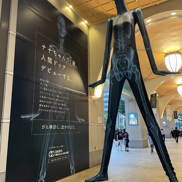 大人のメンテナンス