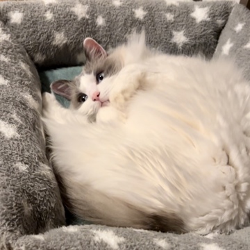 おやすみなさい♡