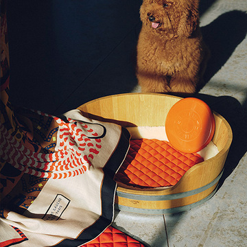 愛犬に贈りたい「エルメス」のドッグコレクション【板谷由夏 エルメスと描く、軽やかなエレガンス】