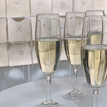 Yoko Yamamoto×THE GINZA