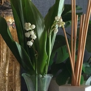 リップケア～保湿！！～