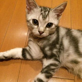 土曜日は蔵出しアラン！