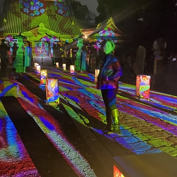 幻想的な光の祭典