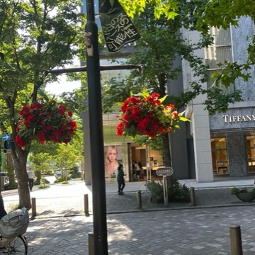 五月晴れランチ