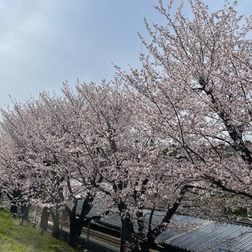 わざわざお出掛けする価値のあるレストラン