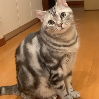 振り向きざまの、カメラ目線！（動画）