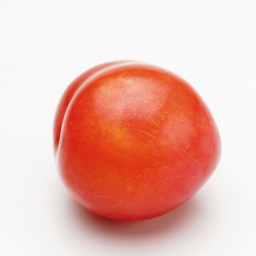 プラムの概念が変わるおいしさ 中島農園―プラムの郷―の「プラム」