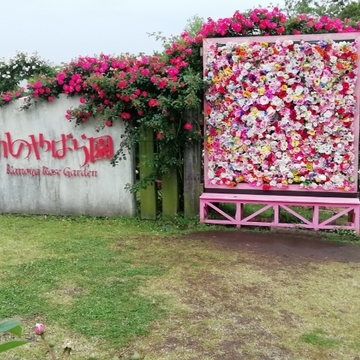 どこまでも乙女心をくすぐる《かのやばら園》