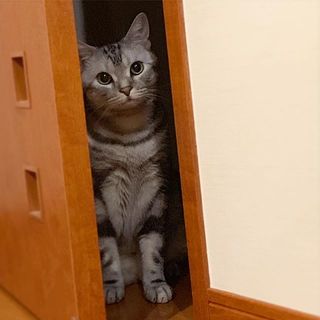 のぞき見しちゃうよ