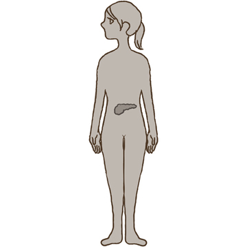 高血糖の原因と対策を専門医が解説！【アラウンド50からの血糖コントロール】