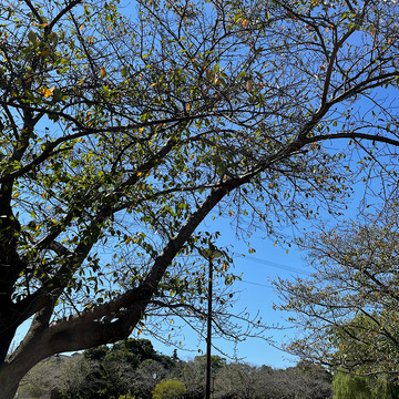 スポーツの秋に再開したこと