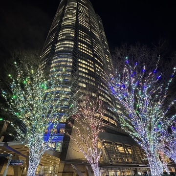 この冬見たい、心に残る東京イルミネーション3選