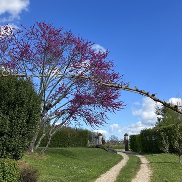 フランス旅行#3 ボルドー地方編