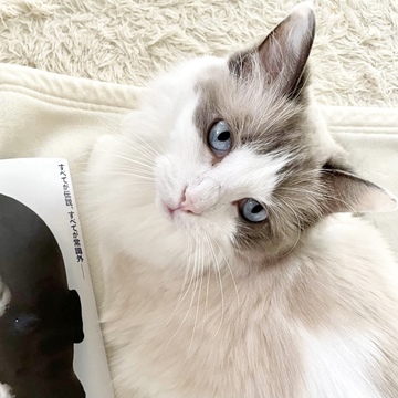 映画『ドライブ・マイ・カー』