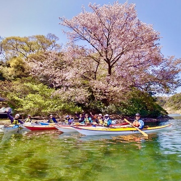 カヤックで海からお花見しました♪