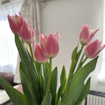 食べ過ぎた次の日に頂く私のデトックススープ