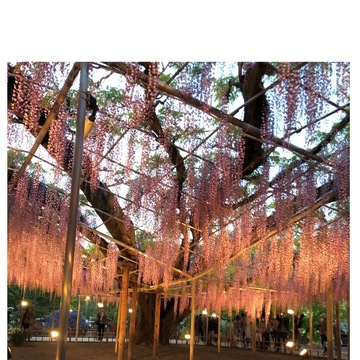 世界夢の旅行先ベスト10