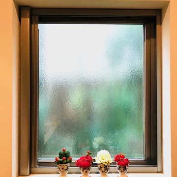 我が家の日常の花