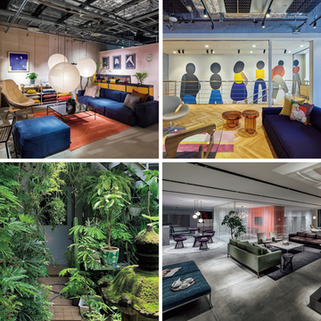 【50代、私に心地いい家】家具や植栽など渡邉季穂さんの頼れる右腕アドレス4選