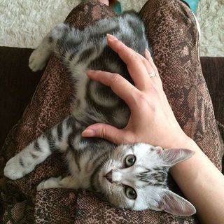 生後3ヶ月頃。ベビーアランはママの膝の上