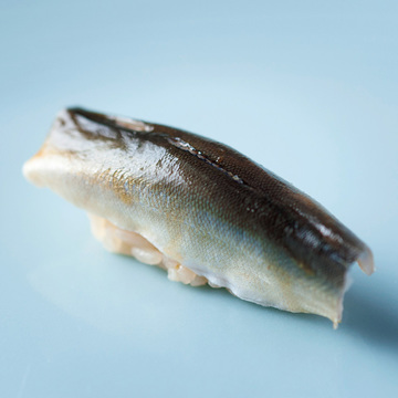 昔気質の大将がにぎる 金沢ならではの江戸前　鮨処　こいづみ 