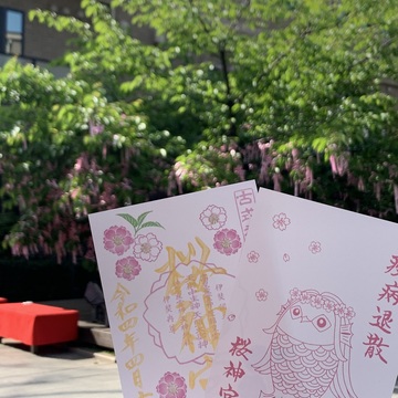 2年ぶりの東京、桜ツアー　１日目