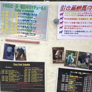 雨上がりウォーキング