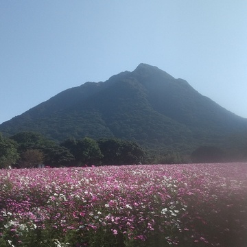 春のライフスタイル